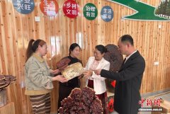 返乡创业“她力量” 激活闽北乡村振兴新动能