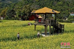 福建福州：市民油菜花田踏春赏花