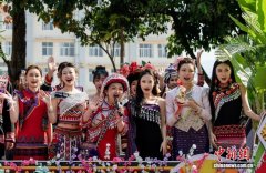 民族团结进步促进法赋